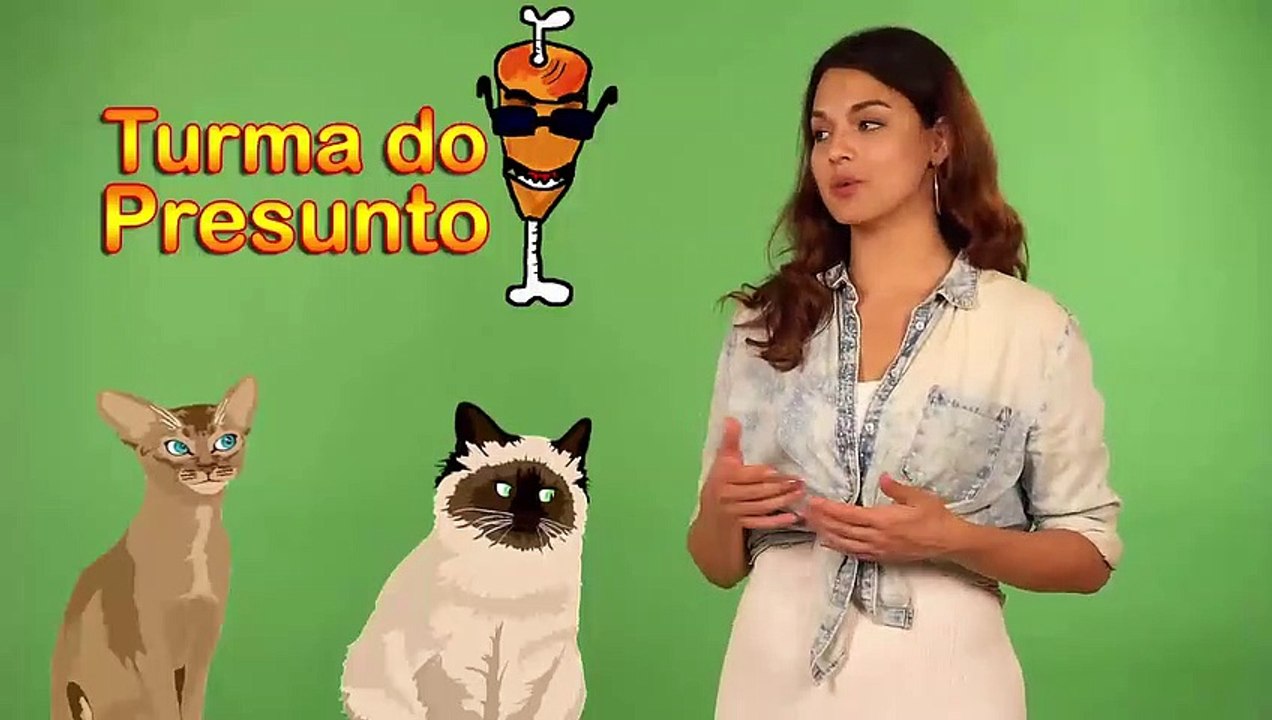 o gato que dança para comer the cat that dances to eat