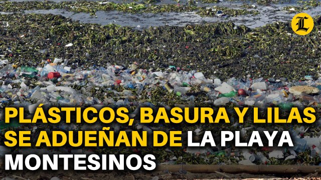 MUCHOS PLÁSTICOS, BASURA Y LILAS SE ADUEÑAN DE LA PLAYA MONTESINOS