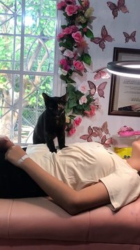 Kitty Helps Pamper Clients