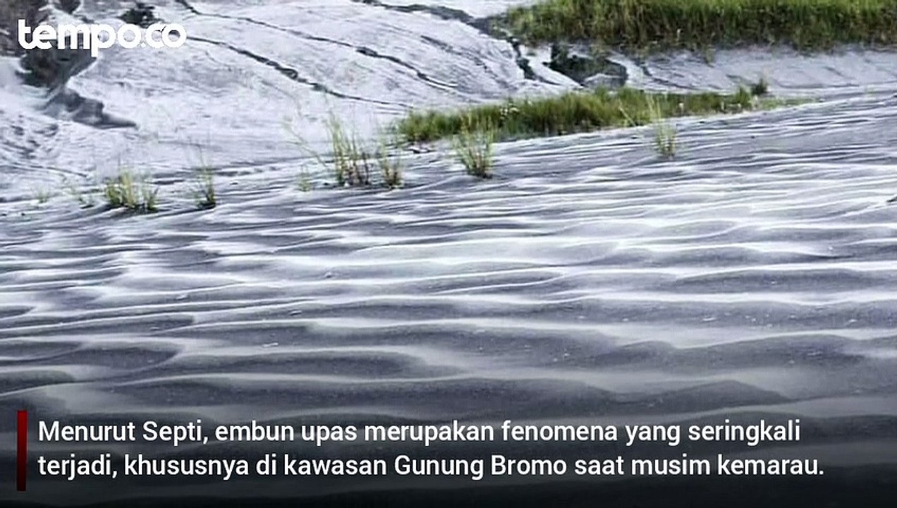 Fenomena Embun Upas Muncul di Bromo, Jadi Daya Tarik Wisata