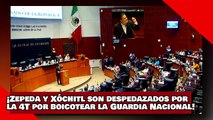 ¡VEAN! ¡Zepeda y Xóchitl son destrozados por el Senador Rojas por boicotear la Guardia Nacional!
