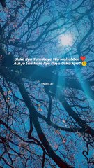 Jiske liya Tum Roye Wo Mohabbat ❤ Aur jo tumhare liye Roye Uska kya?  