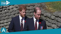 William et Harry : Révélations sur leur rencontre secrète et 