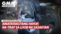 Kinatatakutang hayop, na-trap sa loob ng sasakyan | GMA News Feed