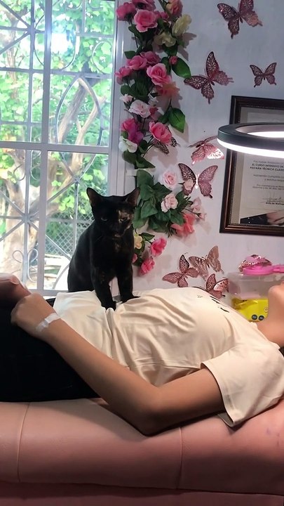 Kitty Helps Pamper Clients