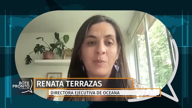 México podría enfrentar un embargo de pescados y mariscos hacia EU | Bote Pronto