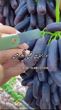 Hamare Nabi pak ﷺNe Farmaya _ Sehat Mand Hone Ka Wazifa