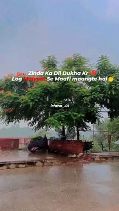 Zinda Ka Dil Dukha Kr   Log Maiyyat Se Maafi maangte hai