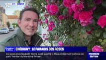 Avec plus de roses que d'habitants, la commune de Chédigny est classée 