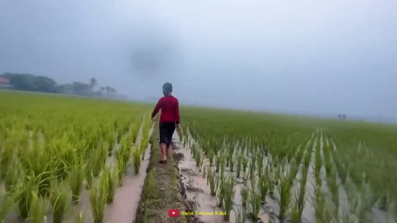 Heavy Rain Transforms the Village: A Peaceful Stormy Day