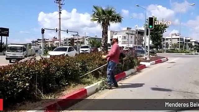 Menderes Belediyesi, ilçe genelinde yeşil alanların bakım çalışmalarını sürdürüyor