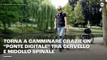 Torna a camminare grazie un “ponte digitale” tra cervello e midollo spinale