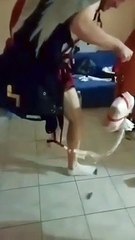 Ouverture intempestive du Parachute de SECOURS en plaine... Soirée !