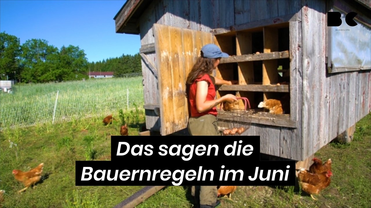 Das sagen die bauernregeln im juni