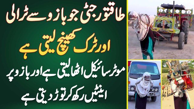Powerful Lady Jo Trolley Or Truck Khainch Leti, Bike Utha Leti Or Bazu Par Eint Rakh Kar Tor Deti Ha