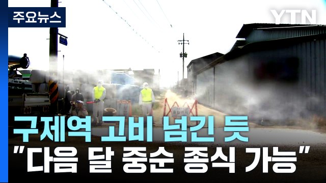 십여 일째 구제역 추가 발생 없어... 6월 중순 종식 선언 가능 / YTN