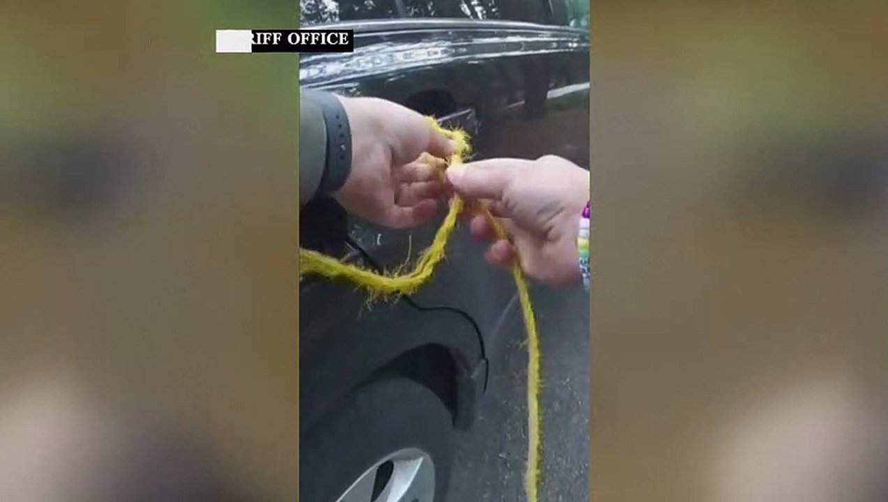 الشرطة تحرر دباً علق داخل سيارة في ولاية نيفادا الأميركية