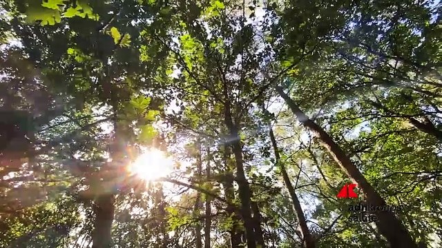 Consulcesi Group presenta “Liberi di Respirare” e lancia azione collettiva ‘Aria Pulita’