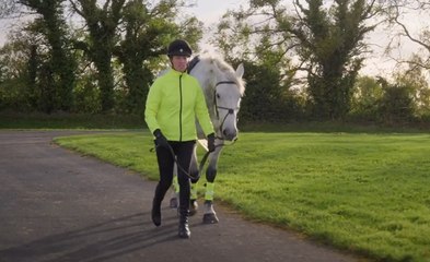 Sharing the Road with Horse and Rider