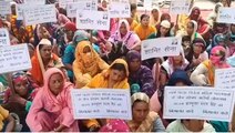 मुजफ्फरनगर: पहलवानों के समर्थन में उतरी शांति सेना,धरना देकर की ब्रजभूषण की गिरफ्तारी मांग