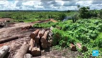 Brésil : les députés approuvent un projet limitant la démarcation des terres indigènes