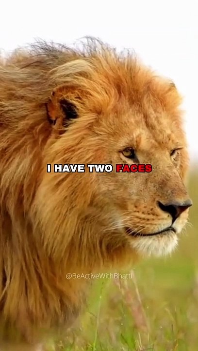 SIGMA RULE #short #motivation #deepfacts #psychologyfacts #Shorts #ytshort #beactivewithbhatti