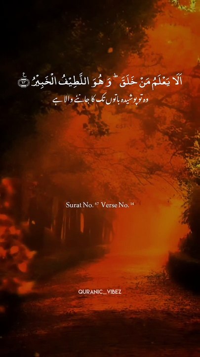 Surah - Mulk | Verse 12 - 18 | ❤️