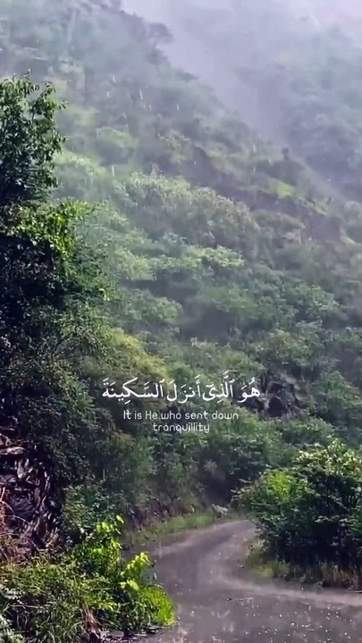 اسلامی ویڈیو