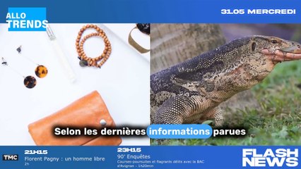 Télécharger la video: Lidl : La marque relance sa collection de vêtements et accessoires !