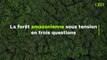 Amazonie : la forêt sous tension en trois questions