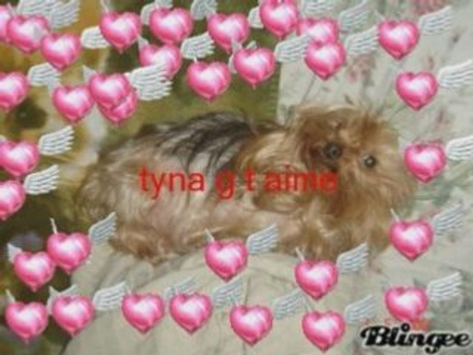 tyna et spake