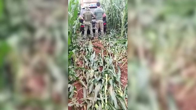 BPFRON e Polícia Federal apreendem carro carregado com cigarros contrabandeados em Guaíra