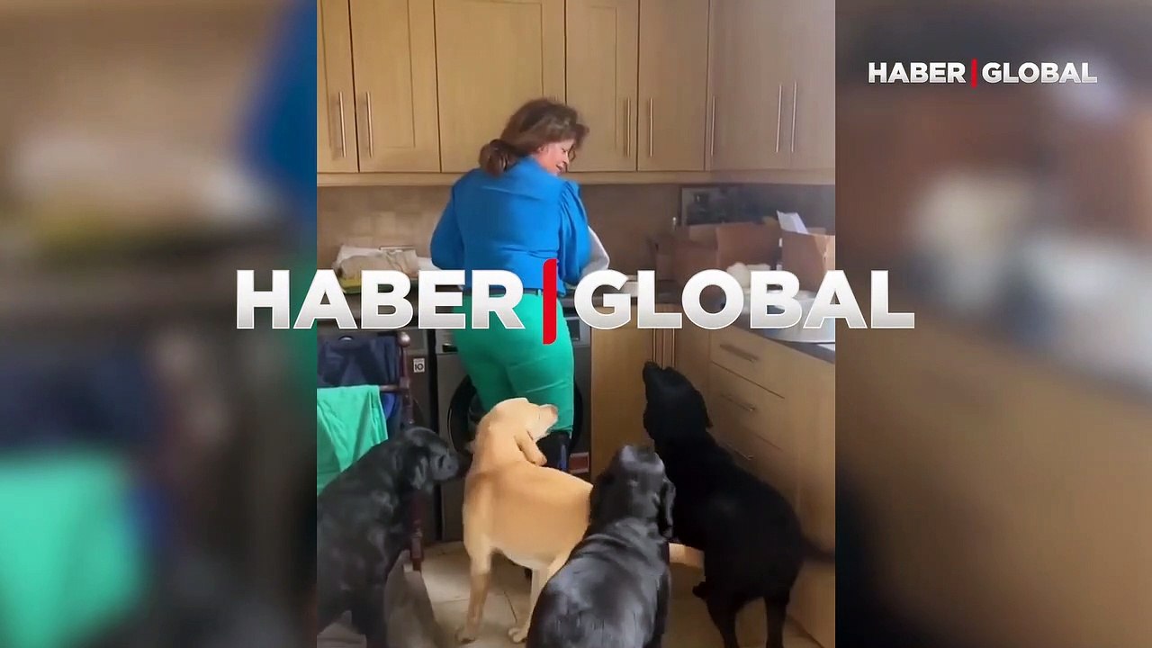 Yerinde duramadı, zıp zıp zıpladı... Köpeğin ma...
