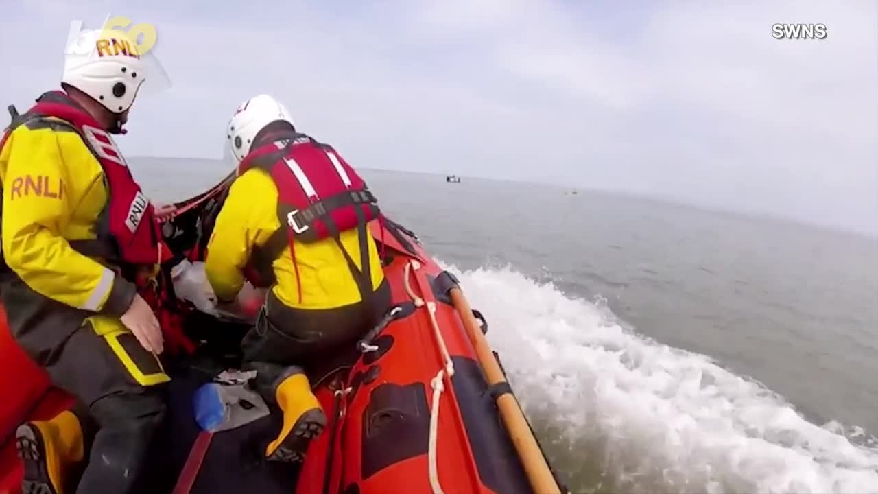 This Dog Walk Turned Into a Water Rescue