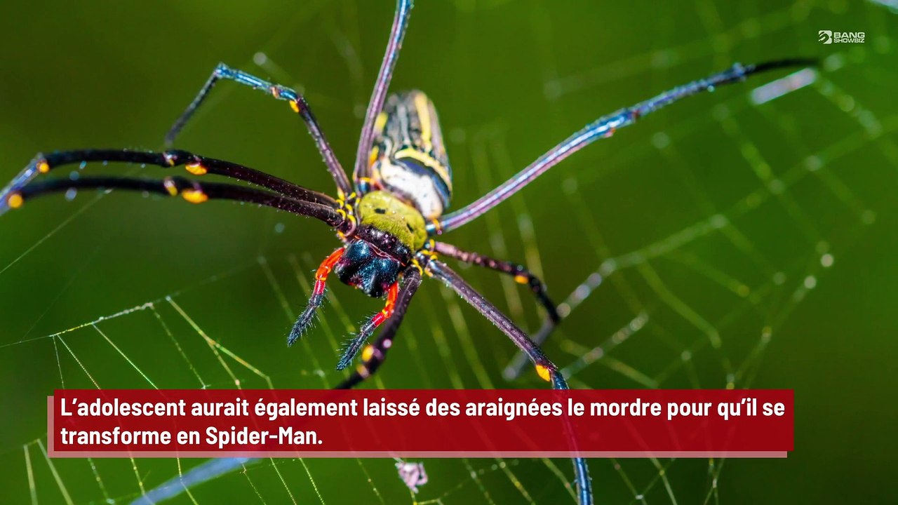 Il s’injecte du mercure dans le corps pour ressembler à un personnage des X-Men mais termine à l’hôpital !
