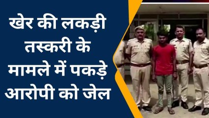 चितौड़गढ़: 10 क्विंटल खेर की लकड़ी के मामले में गिरफ्तार ट्रक के खलासी को भेजा जेल