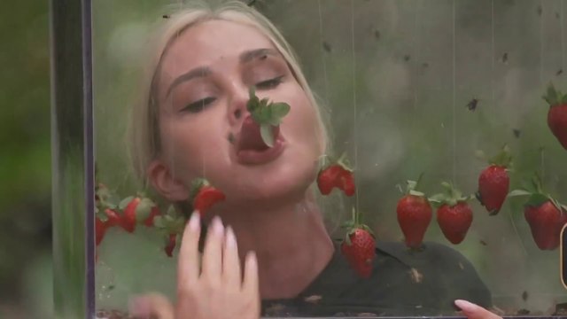 Промо ТНТ. Новые звёзды в Африке. С 12 марта в 1900 на ТНТ