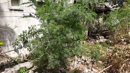 See VIDEO: #Ratlam #GIRLS college latest video