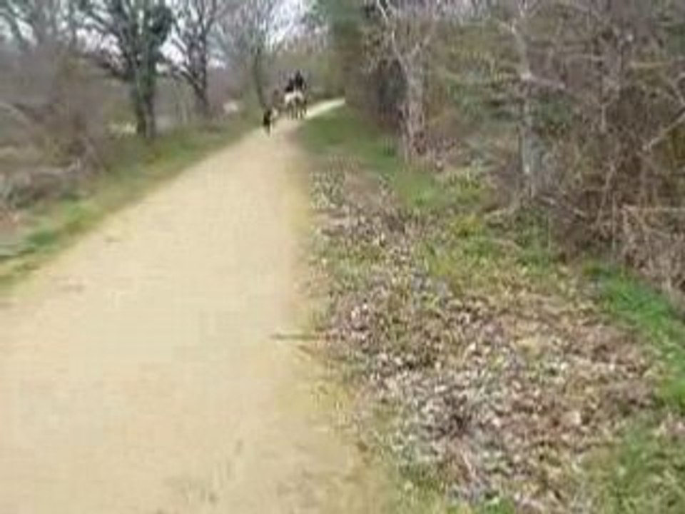 Audrey et Spirit - Moi et Rivierre ( L '