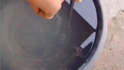 रीवा: मीठे जल की मिठास पड़ने लगे कीड़े, लोगों के लिए कर रहे हैं विष का काम