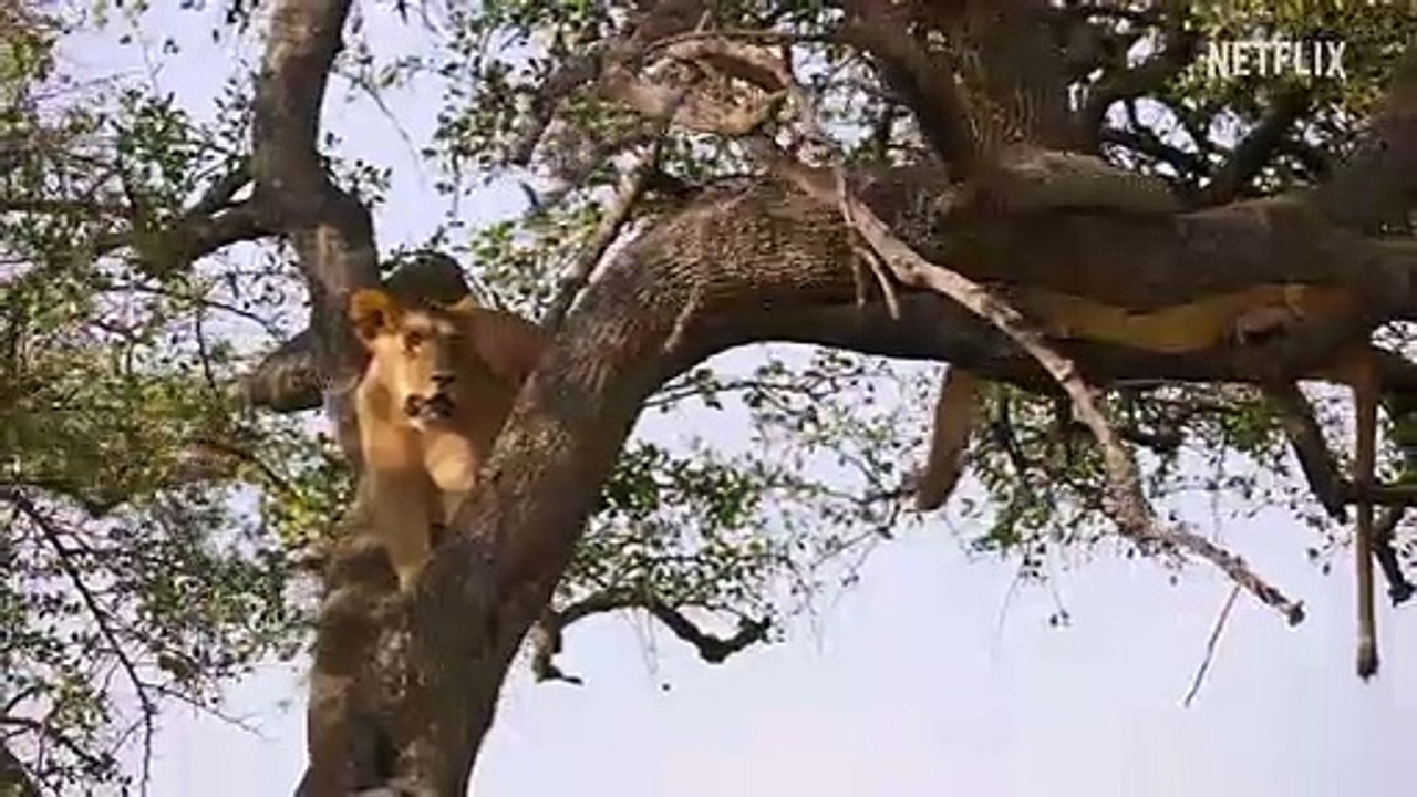 Unser Planet II Trailer OmdU