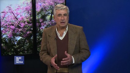 BLOC DE NOTAS RESUMEN SEMANAL - PROG 237