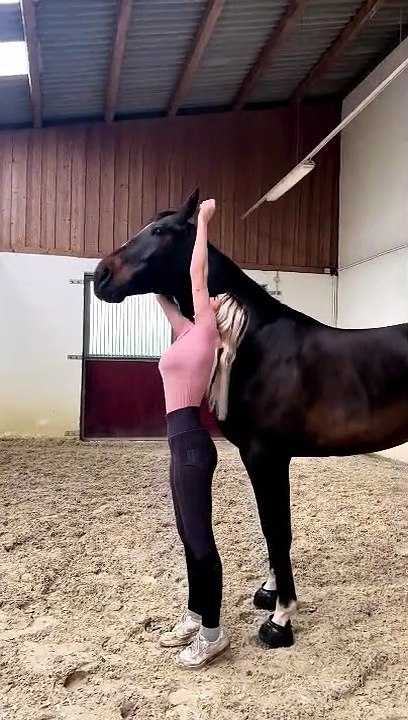 Un cheval avec un licol invisible