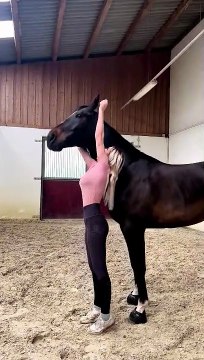 Un cheval avec un licol invisible