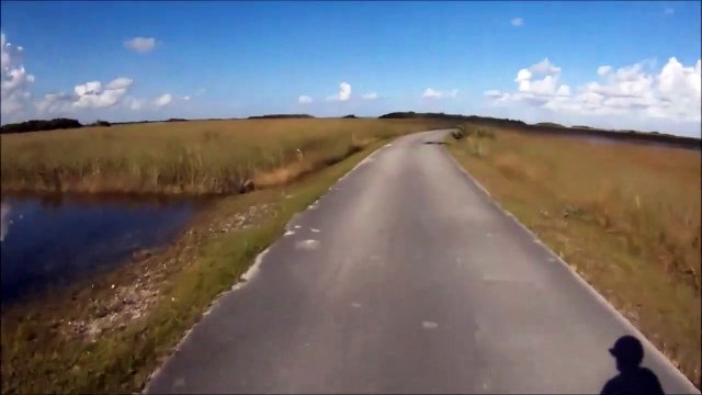 Ce cycliste pense voir un gros baton en bord de route, ce qu'il découvre est tout autre