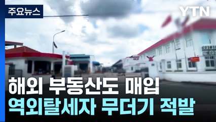 탈세 자금으로 해외주택 사고 역외보험료 수십 억 대납...52명 세무조사 / YTN