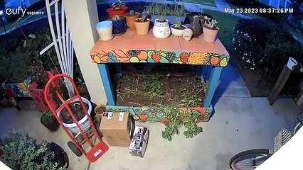 Dolly invisible se catapulte dans le visage de l'homme