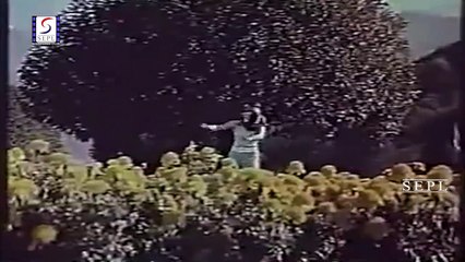 Ban Gaye Baat /  Koi Jeeta Koi Hara 1976/ Asha Bhosle, Kishore Kumar, Saira Banu, Shashi Kapoor