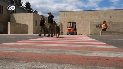 Republik Moldau: Dorf Bulboaca im Glanz vor dem Europäischen Gipfel