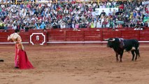 Roca Rey ante un toro de Conde de Mayalde en la plaza de toros de Aranjuez